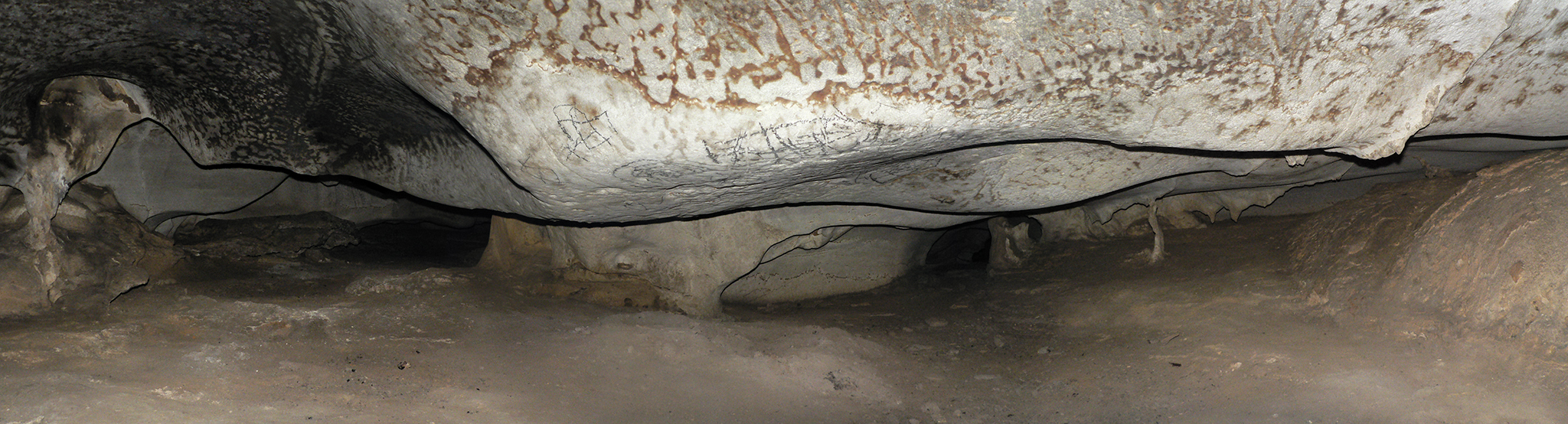 Dessins noirs de la galerie supérieure, dans la grotte ornée de Tovo.